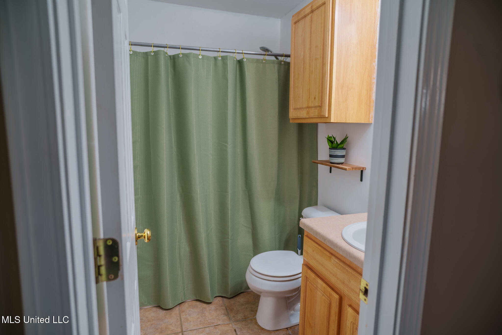 424 Timber Ridge Way Brandon, MS 39047 - Photo 16 of 27 DSC09106-HDR