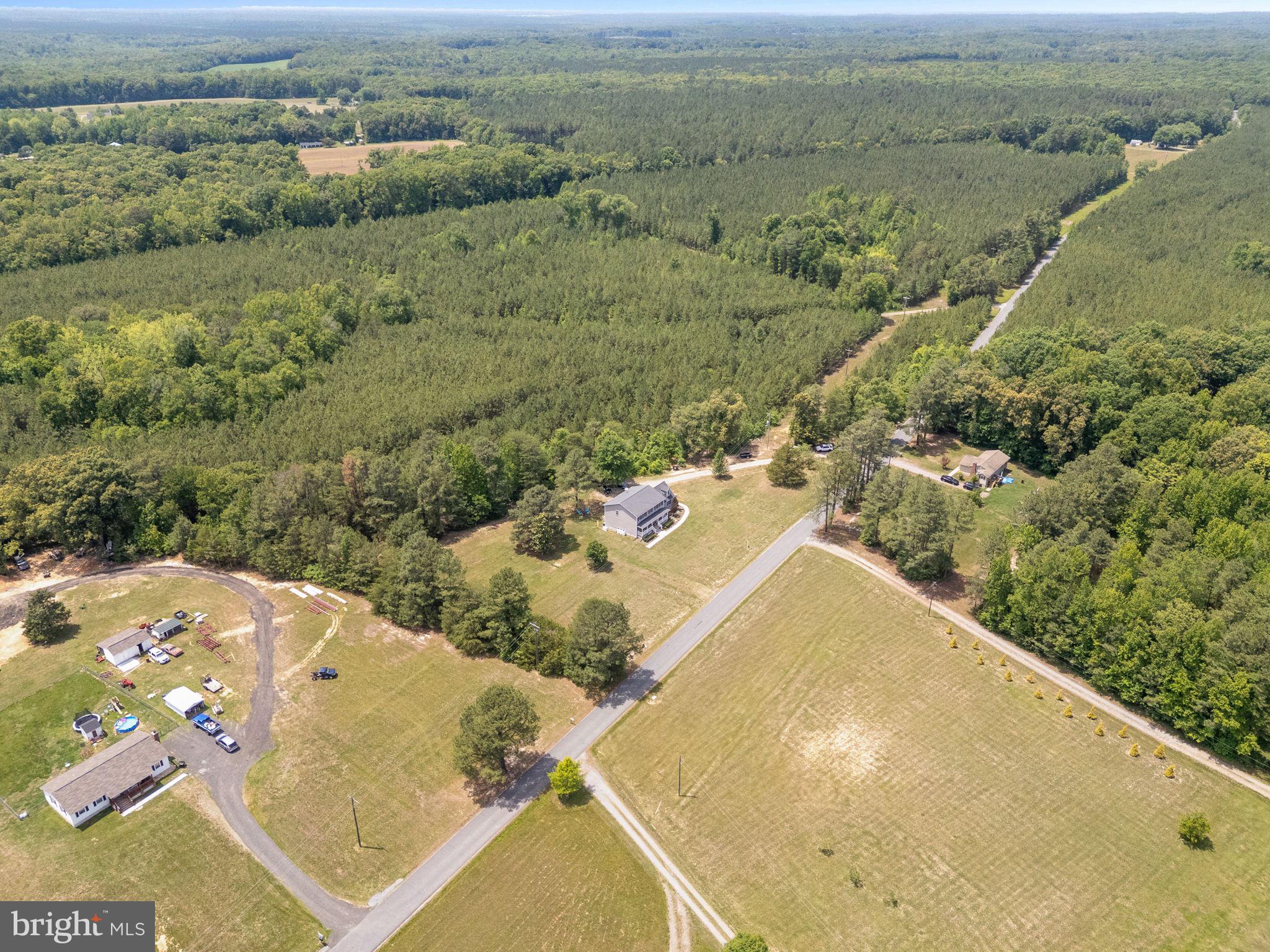 22088 Landora Bridge Road Ruther Glen, VA 22546 - Photo 101 of 122 Serene countryside retreat awaits.