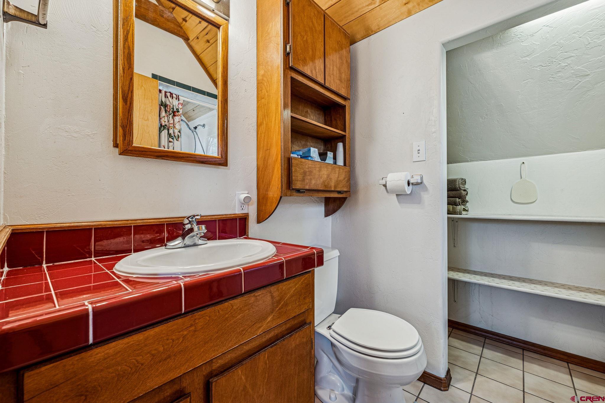 145 Cliffside Drive Durango, CO 81301 - Photo 30 of 43 a bathroom with a toilet a sink and mirror