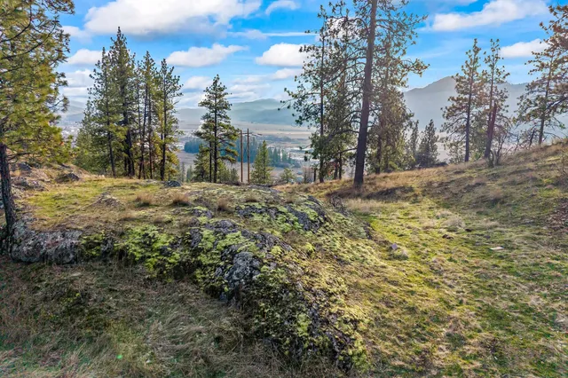 $699,000 | 128 C Buena Vista Drive, Colville, WA 99114