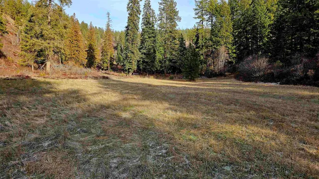 $699,000 | 128 C Buena Vista Drive, Colville, WA 99114