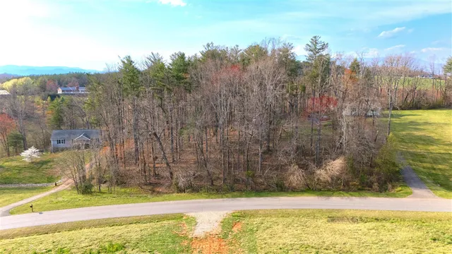 a view of a pathway both side of a yard with large trees