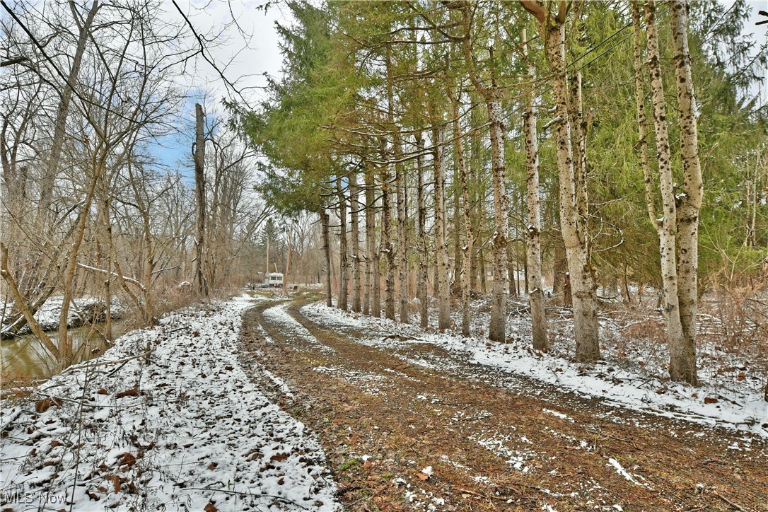 Brigden Road North Bloomfield, OH 44450 - Photo 31 of 34 Gallery Image 31