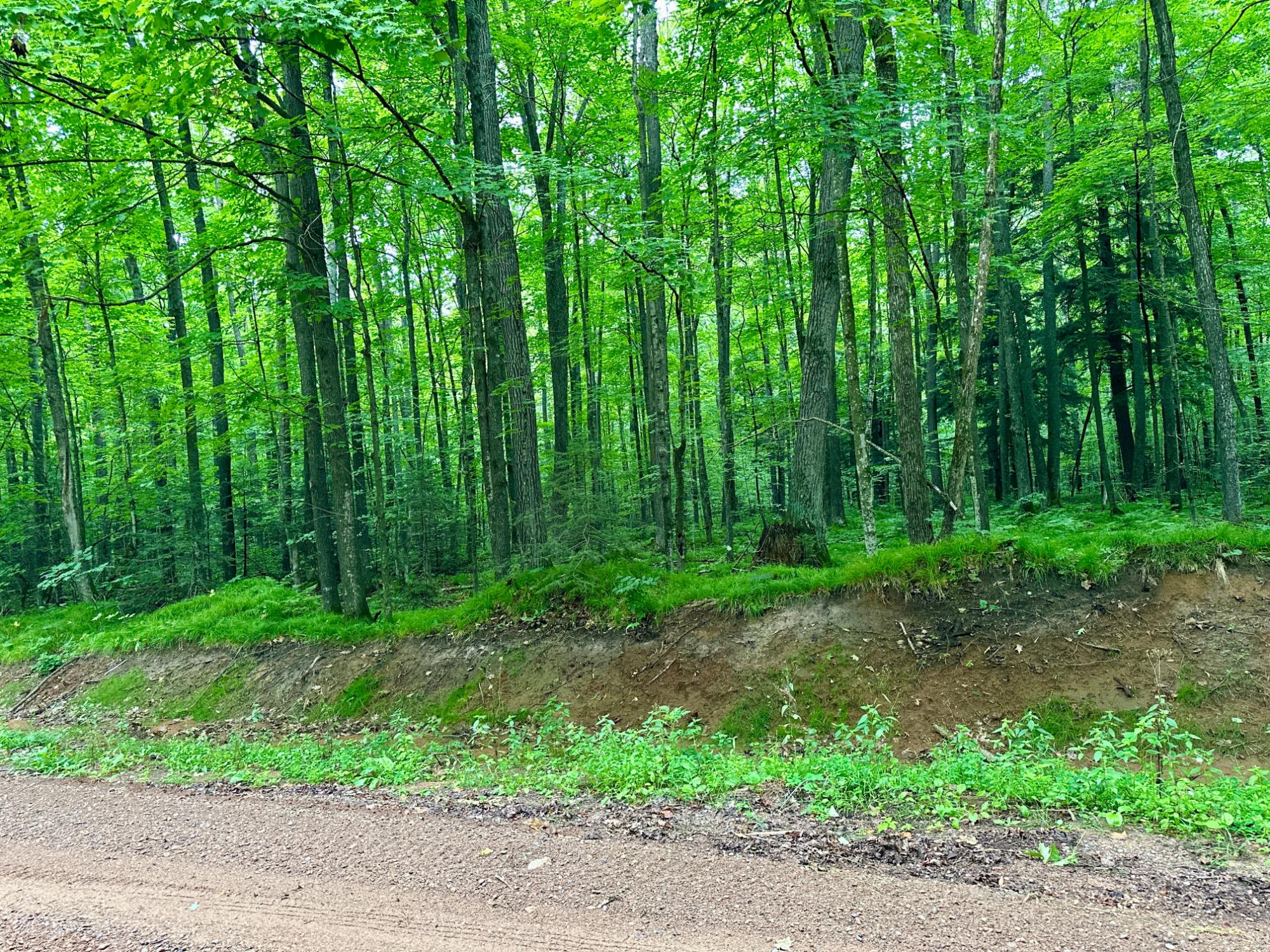 Lot 1 Crane Foot Lake Road Gleason, WI 54435 - Photo 5 of 7 Gallery Image 5