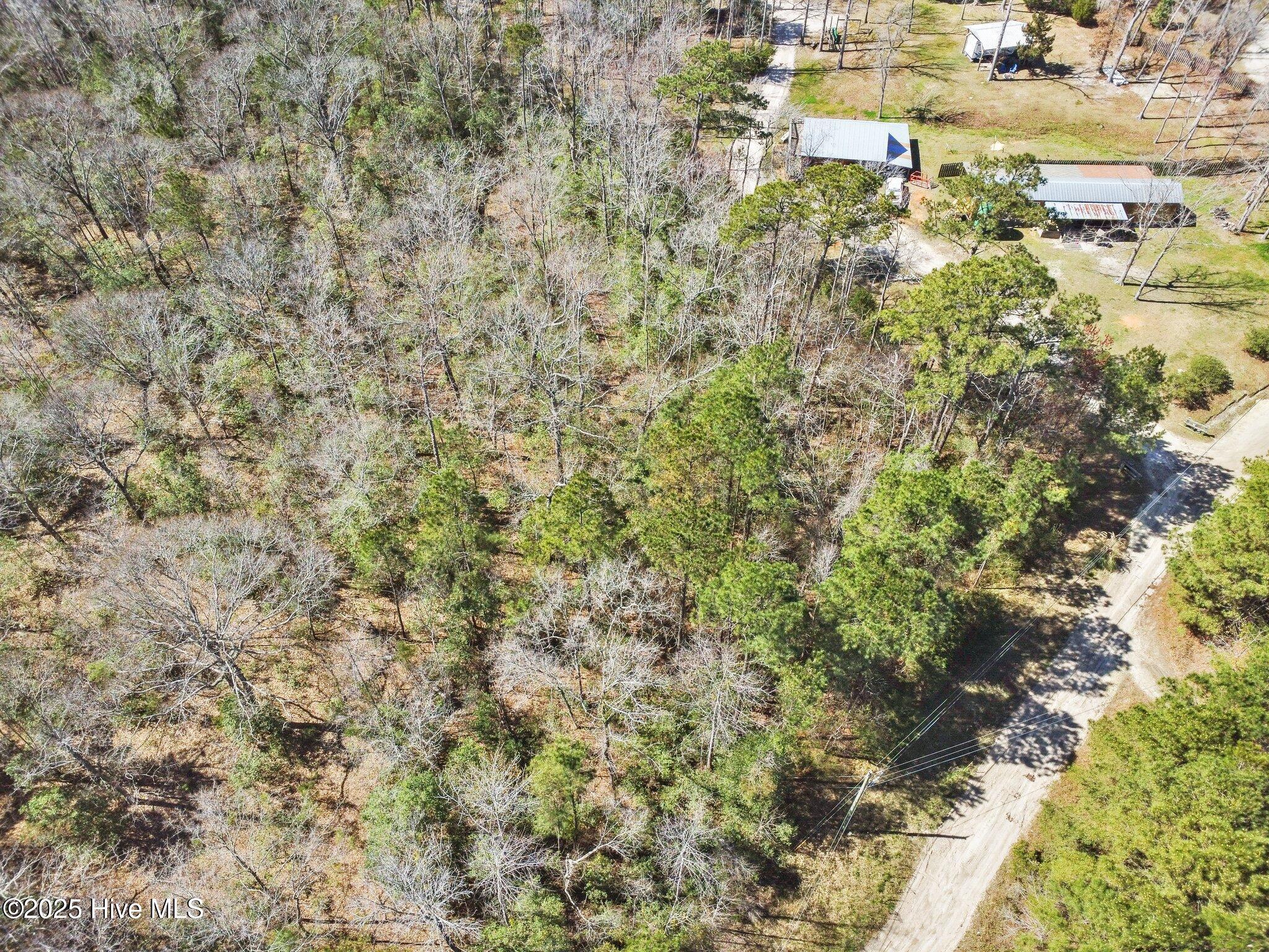 310 Clearview Drive Holly Ridge, NC 28445 - Photo 11 of 23 8-web-or-mls-08