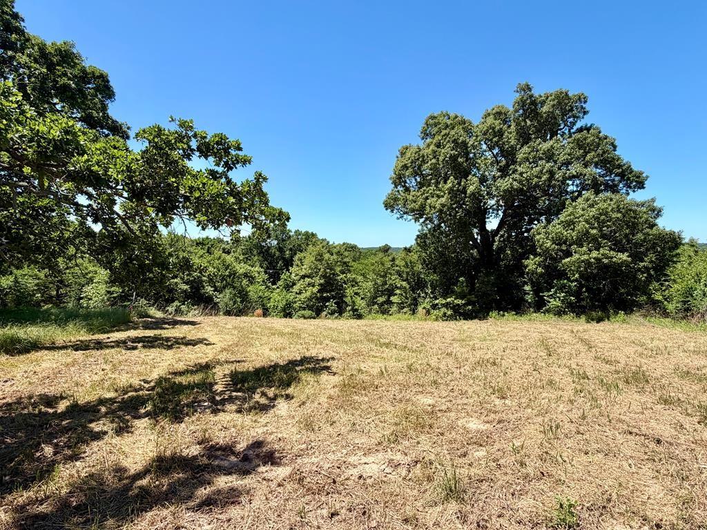 261 High Point Court Athens, TX 75752 - Photo 2 of 6 Gallery Image 2
