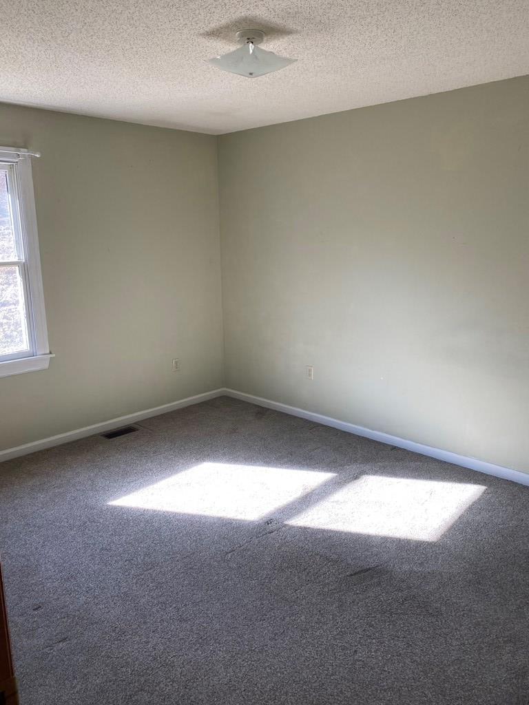292 Apple Valley Road Marion, VA 24354 - Photo 17 of 52 Gallery Image 17