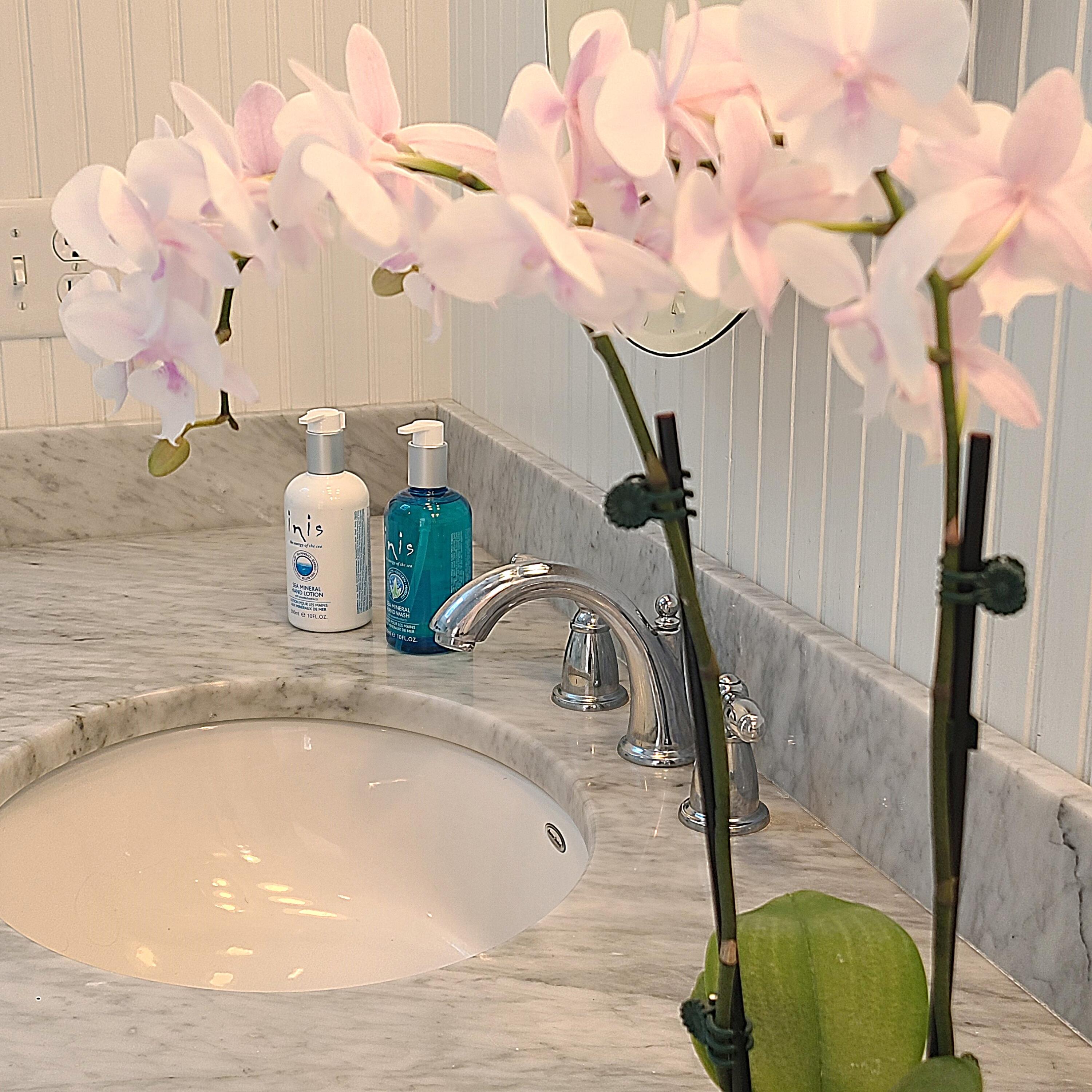 12 Christopher Road Kennebunk, ME 04043 - Photo 26 of 51 20240702_171009
