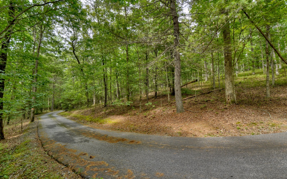 33 Cross Creek Road Mineral Bluff, GA 30559 - Photo 2 of 4 Additional View