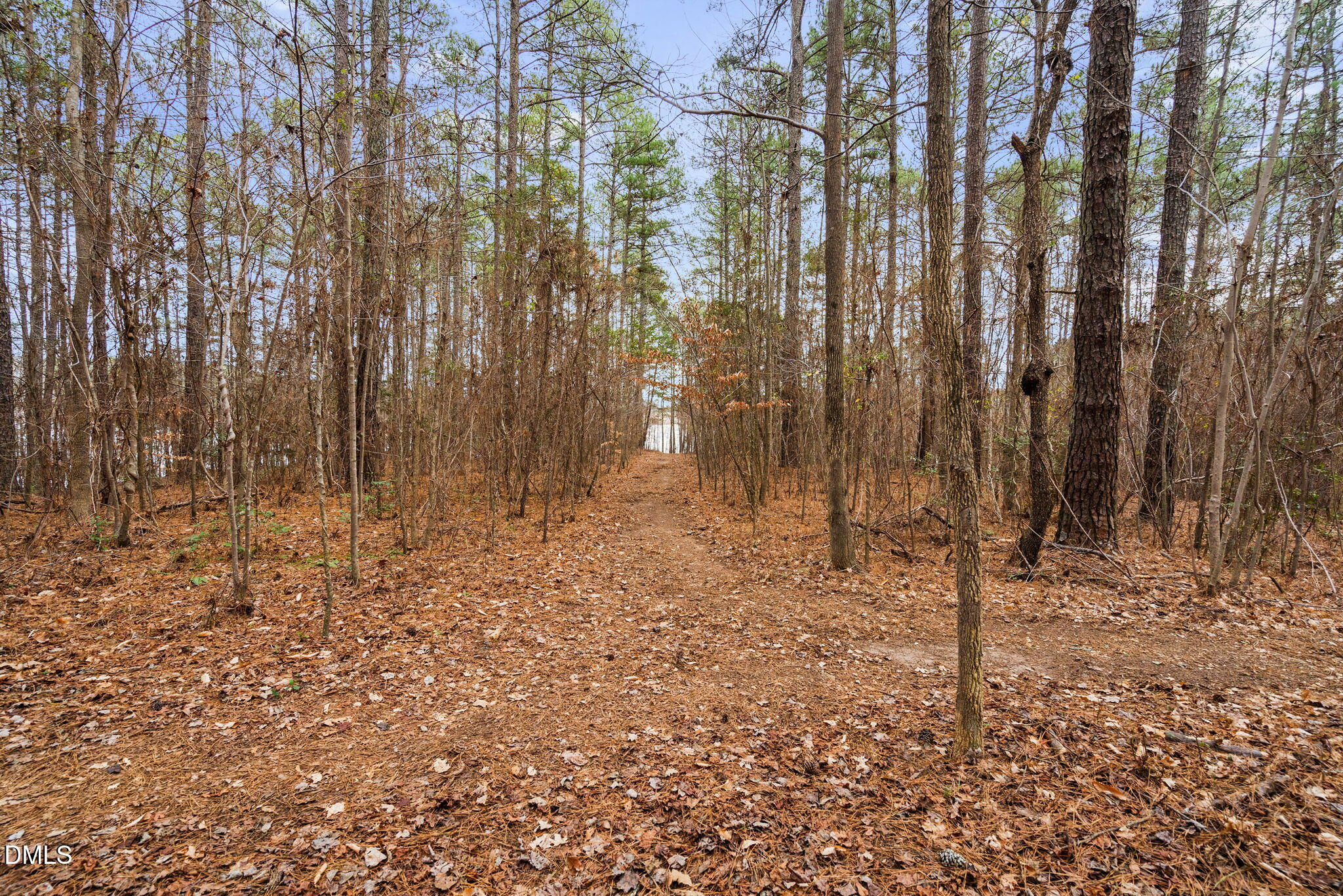13624 Possum Track Road Raleigh, NC 27614 - Photo 10 of 14 90 (10) - 31