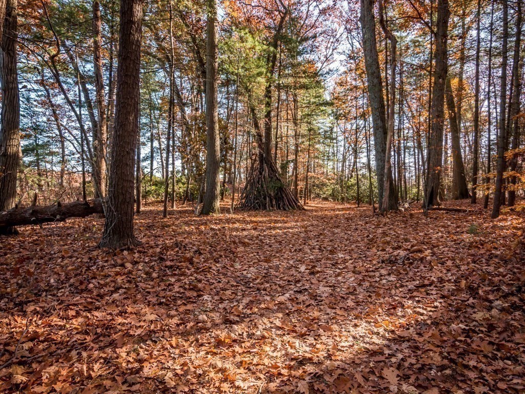 719 Cabot Street Beverly, MA 01915 - Photo 22 of 36