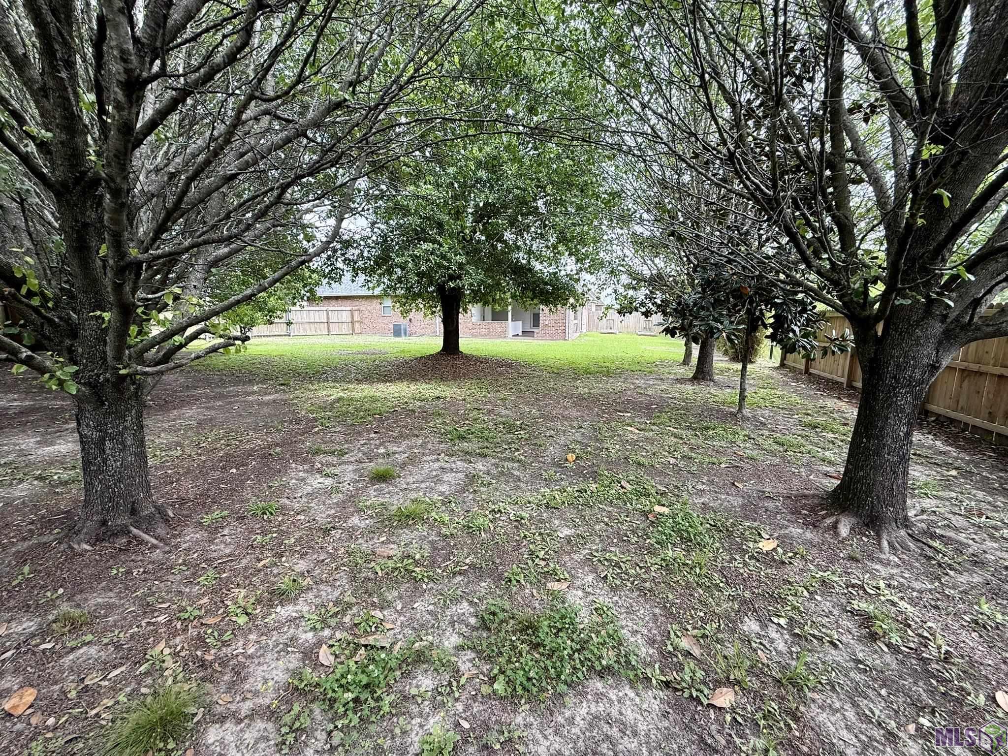 10408 Springtree Avenue Baton Rouge, LA 70810 - Photo 22 of 22