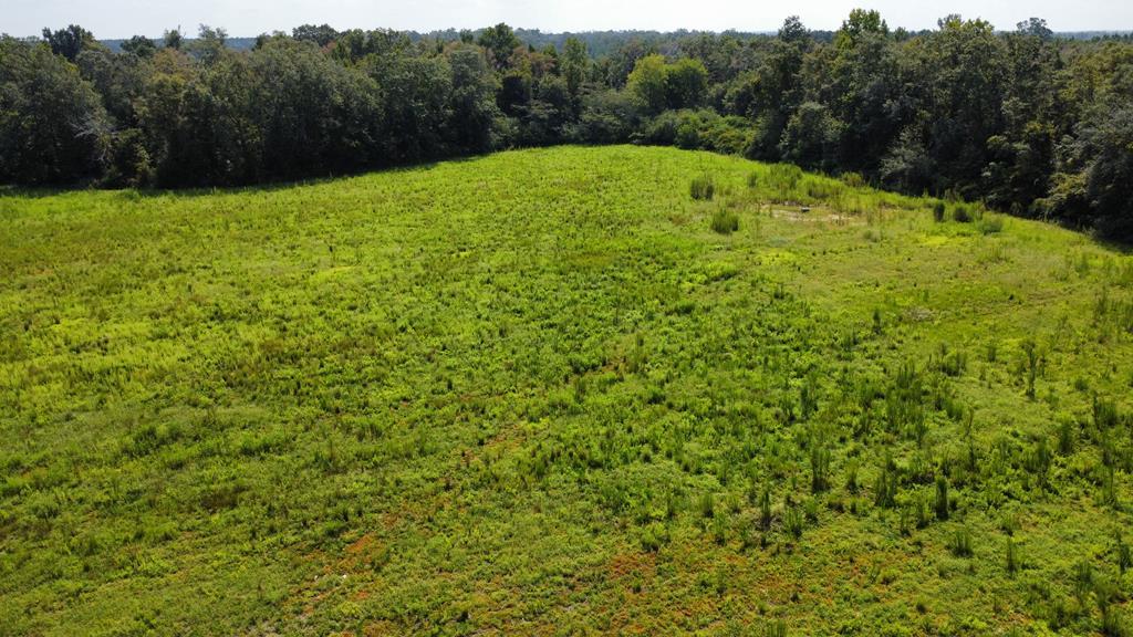 2553 Coot Adams Road Ashford, AL 36312 - Photo 1 of 7