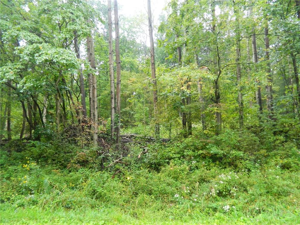 Lot 4 Creek Road Fredonia, PA 16124 - Photo 1 of 2