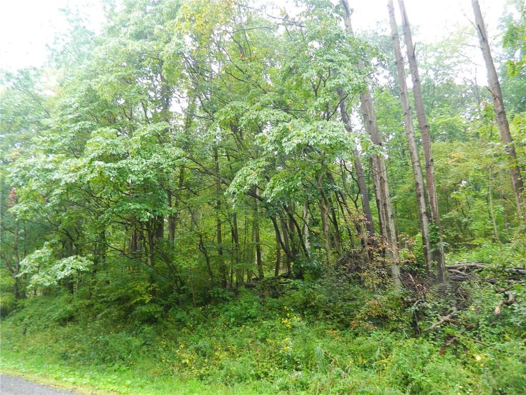Lot 4 Creek Road Fredonia, PA 16124 - Photo 2 of 2