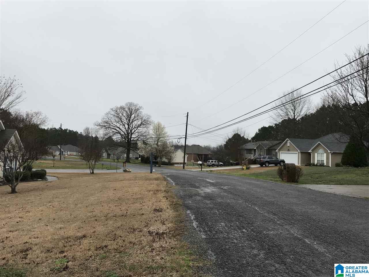 6476 Water Works Road Mount Olive, AL 35117 - Photo 39 of 40
