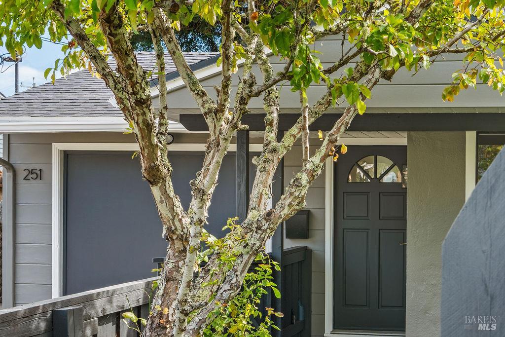 251 Flamingo Road Mill Valley, CA 94941 - Photo 47 of 62 Gallery Image 47