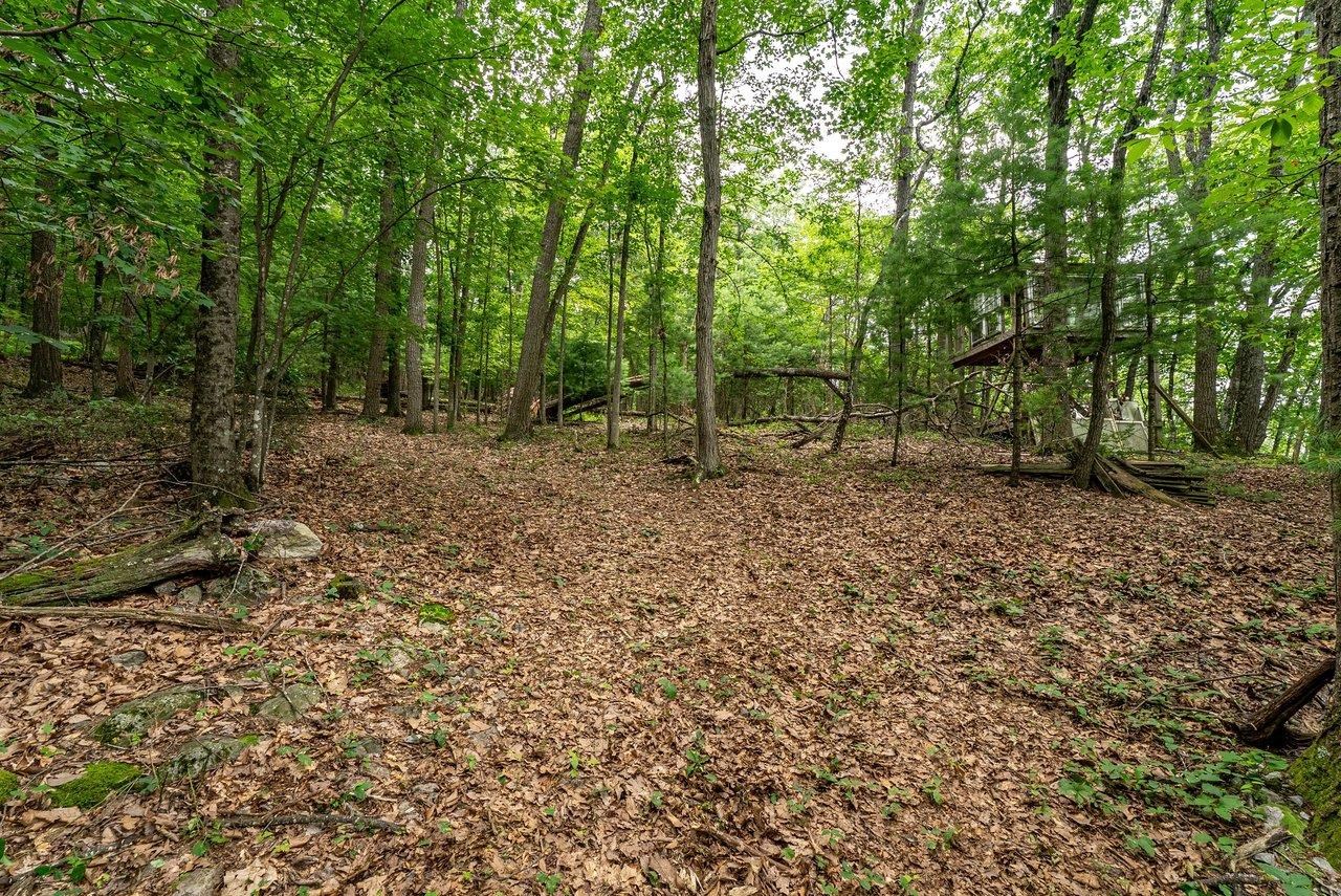 Tbd Rinker Road Broadway, VA 22815 - Photo 14 of 27 a view of outdoor space with trees all around