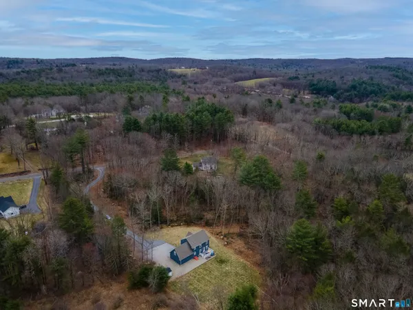 a view of a city with lush green forest
