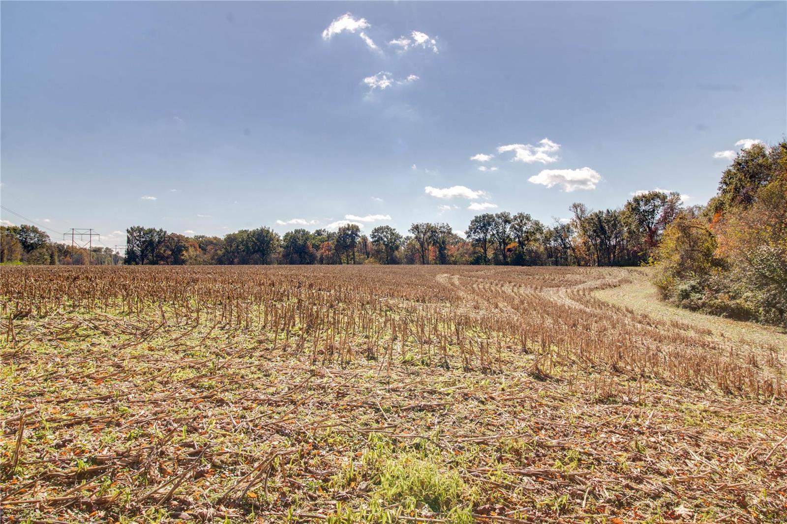 0 West Mill Creek Road Troy, IL 62294 - Photo 12 of 35