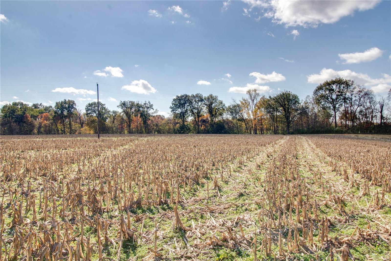 0 West Mill Creek Road Troy, IL 62294 - Photo 13 of 35