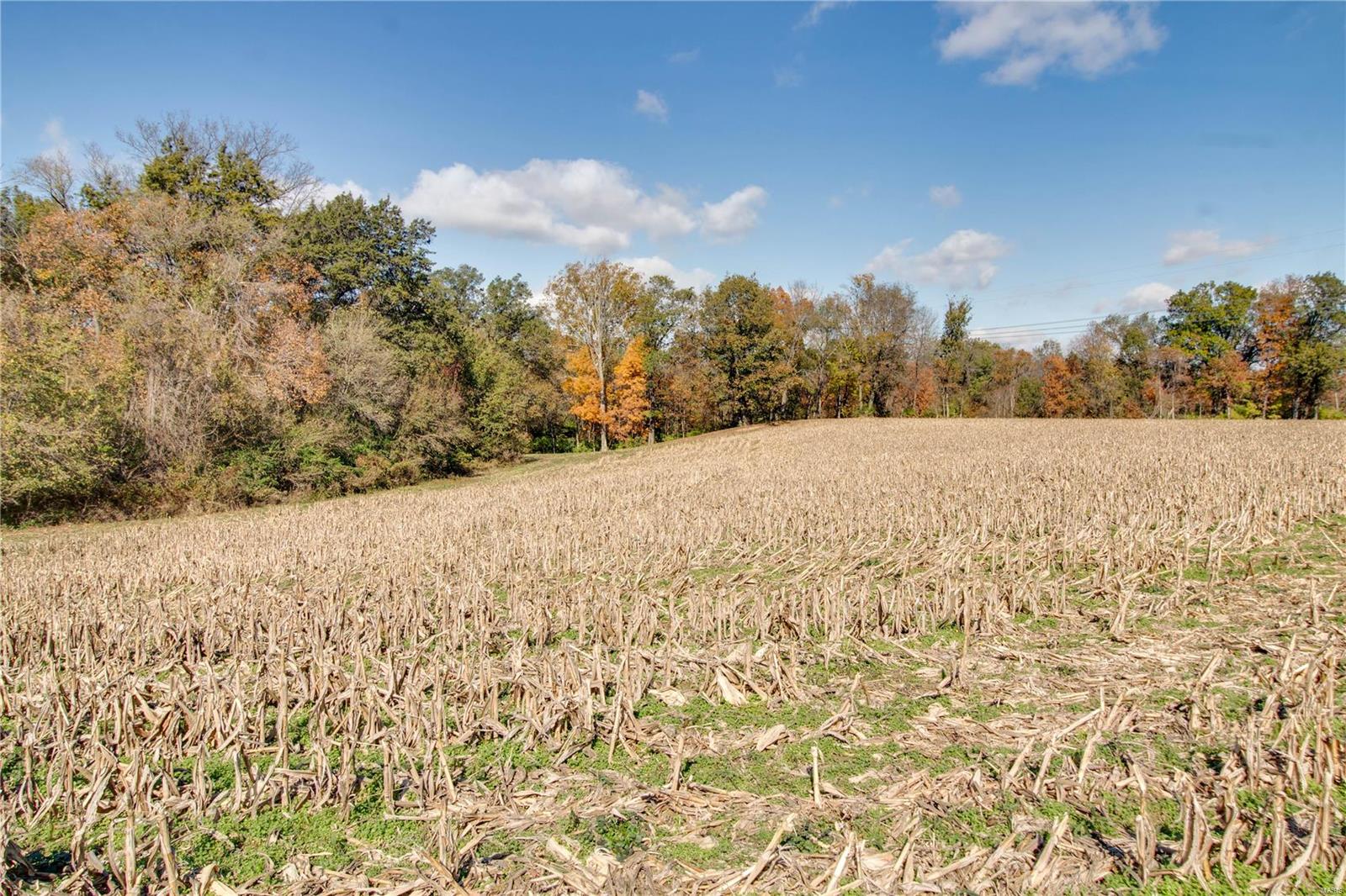 0 West Mill Creek Road Troy, IL 62294 - Photo 14 of 35