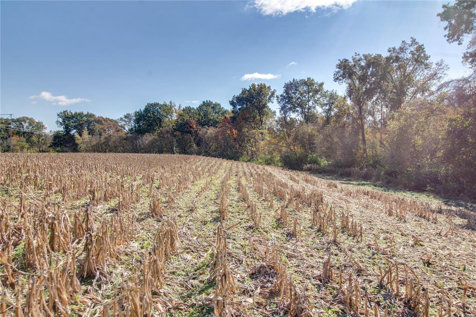 0 West Mill Creek Road Troy, IL 62294 - Photo 16 of 35