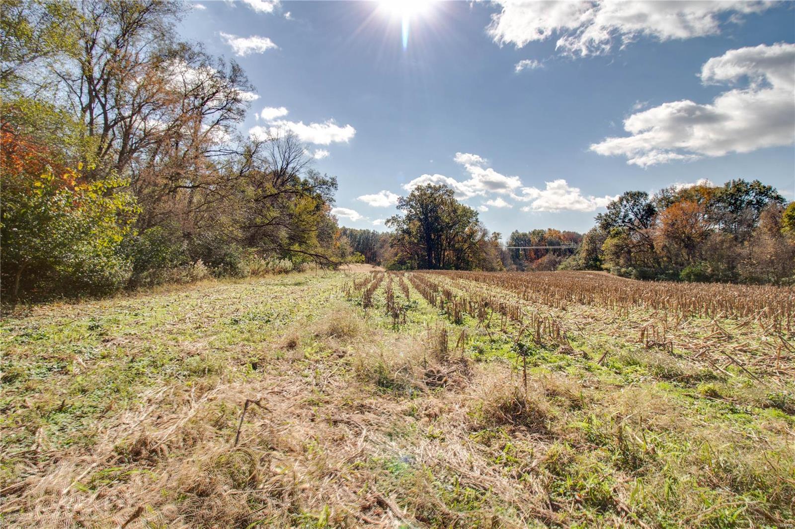 0 West Mill Creek Road Troy, IL 62294 - Photo 23 of 35