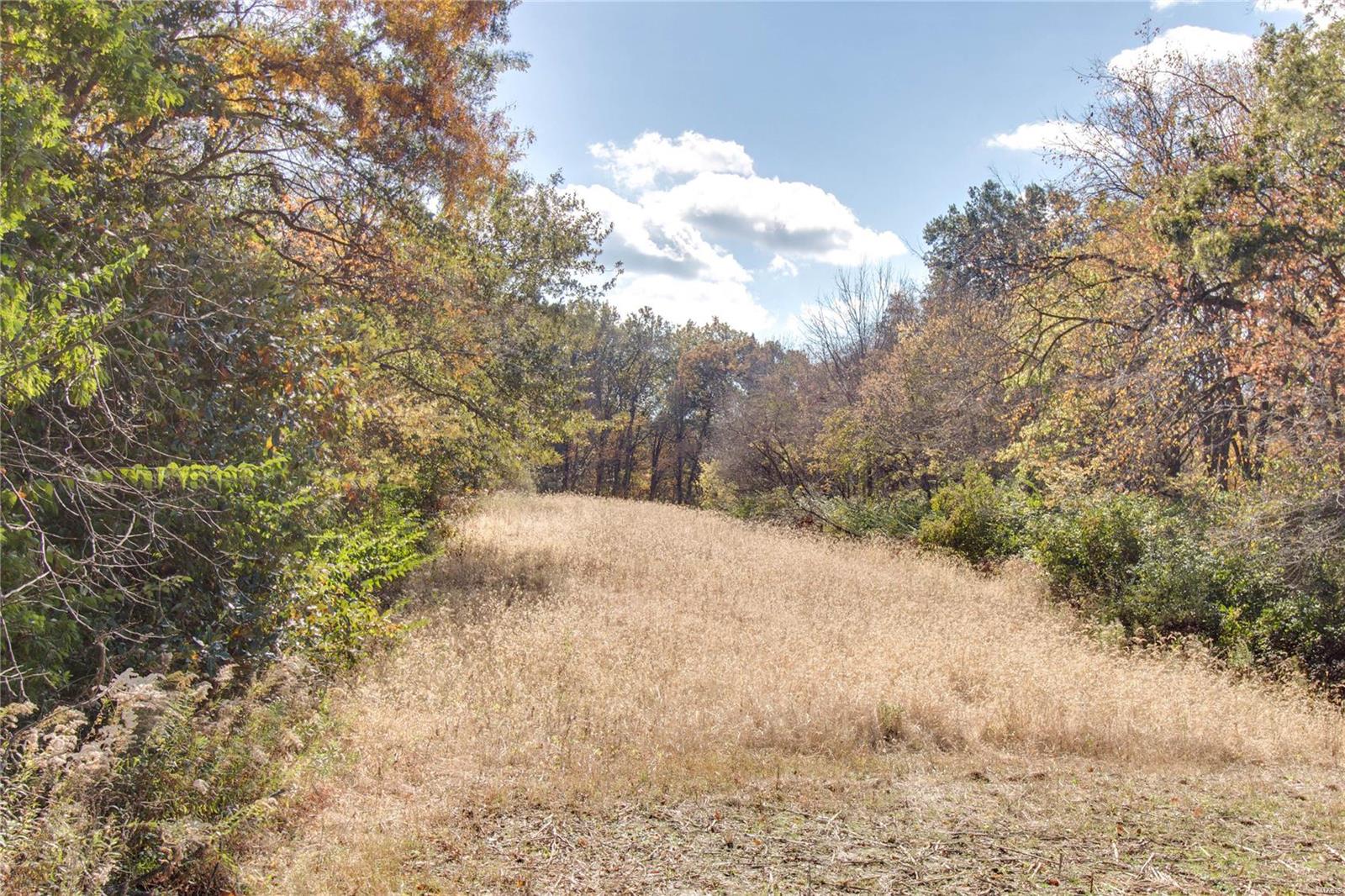 0 West Mill Creek Road Troy, IL 62294 - Photo 25 of 35