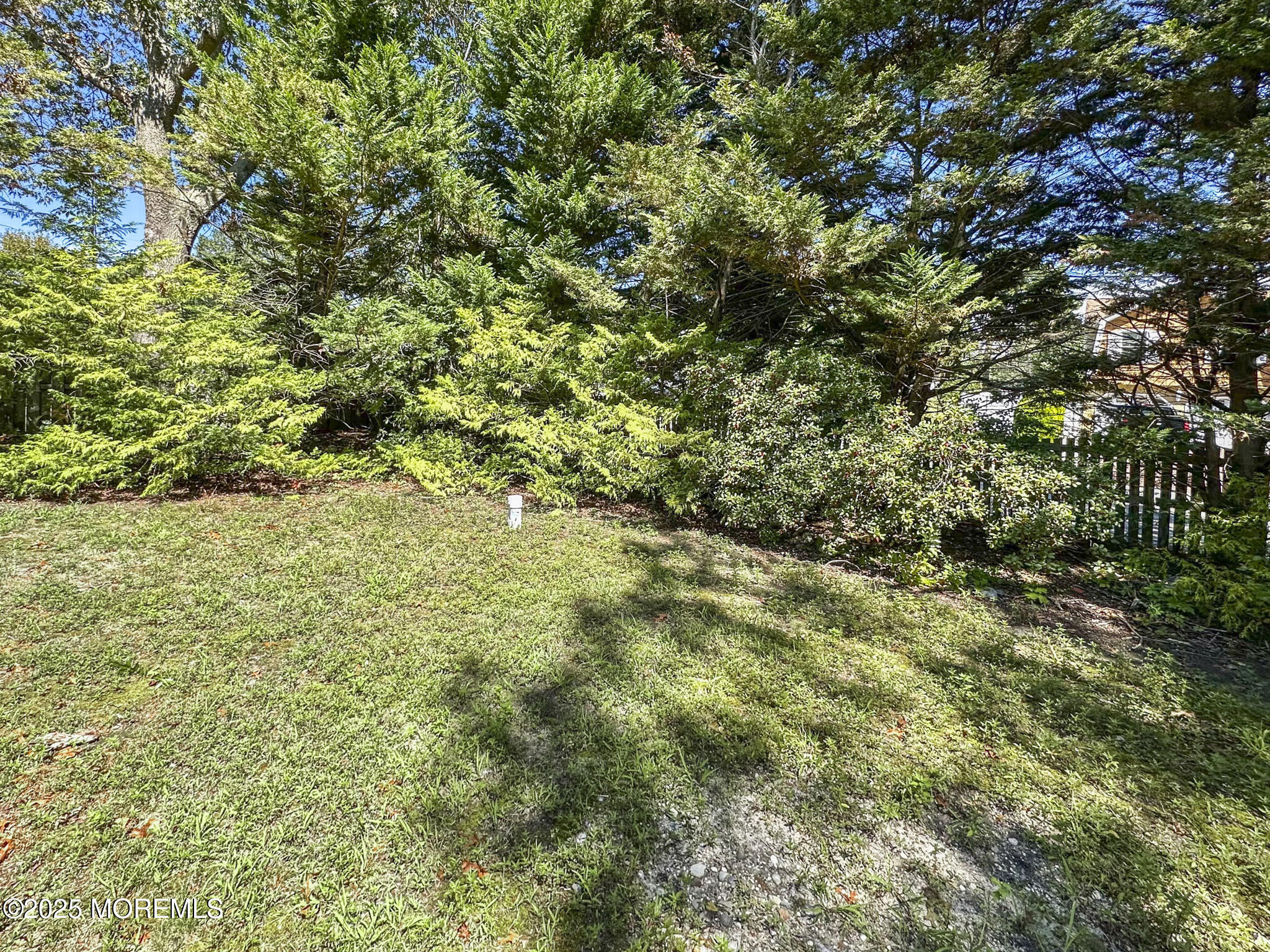 192 Dolphin Road Manahawkin, NJ 08050 - Photo 24 of 25 a view of a big yard with plants and large trees