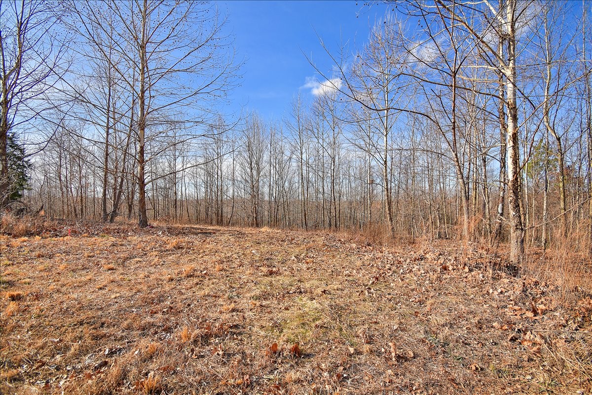 a backyard of a house