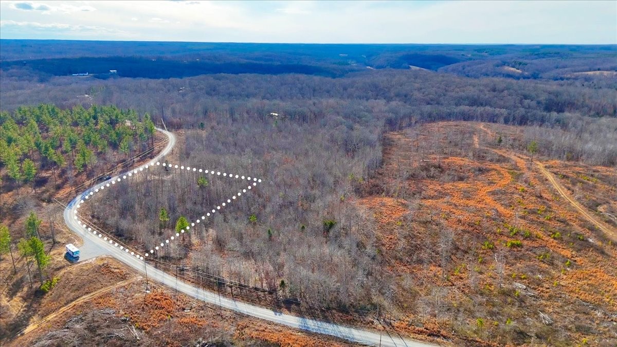98 Saddleback Drive Dover, TN 37058 - Photo 11 of 18 a view of a dry yard