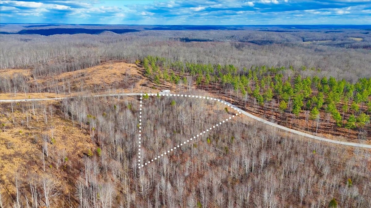 98 Saddleback Drive Dover, TN 37058 - Photo 12 of 18 a view of a backyard of a house