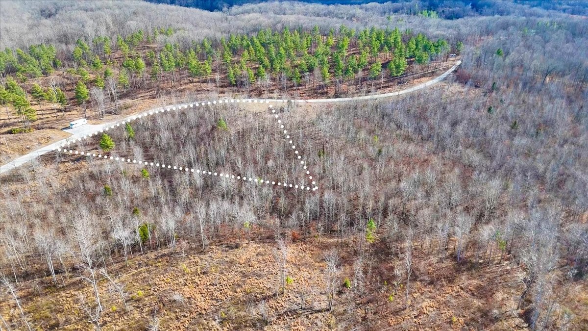 98 Saddleback Drive Dover, TN 37058 - Photo 13 of 18 a view of a garden with large trees