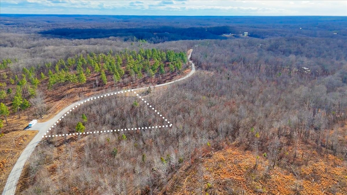 98 Saddleback Drive Dover, TN 37058 - Photo 14 of 18 a view of a pathway with a yard