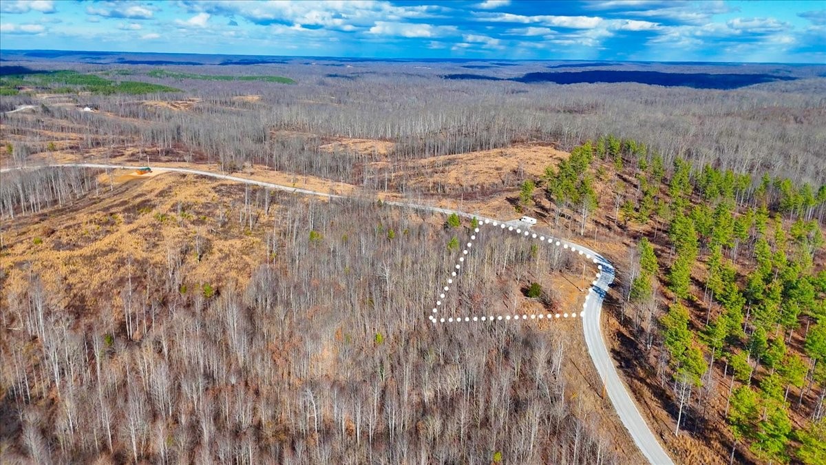 98 Saddleback Drive Dover, TN 37058 - Photo 15 of 18