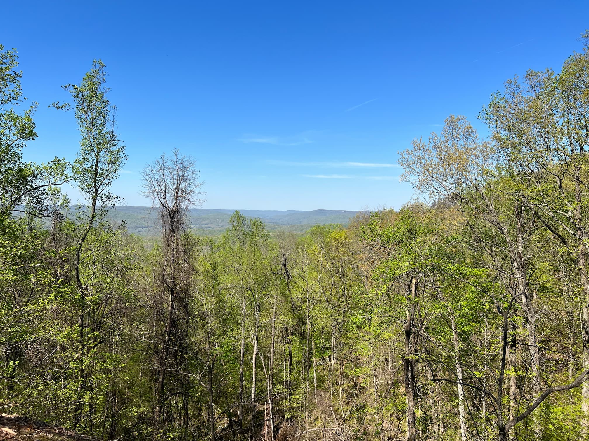 98 Saddleback Drive Dover, TN 37058 - Photo 16 of 18 a view of a lush green space with sea