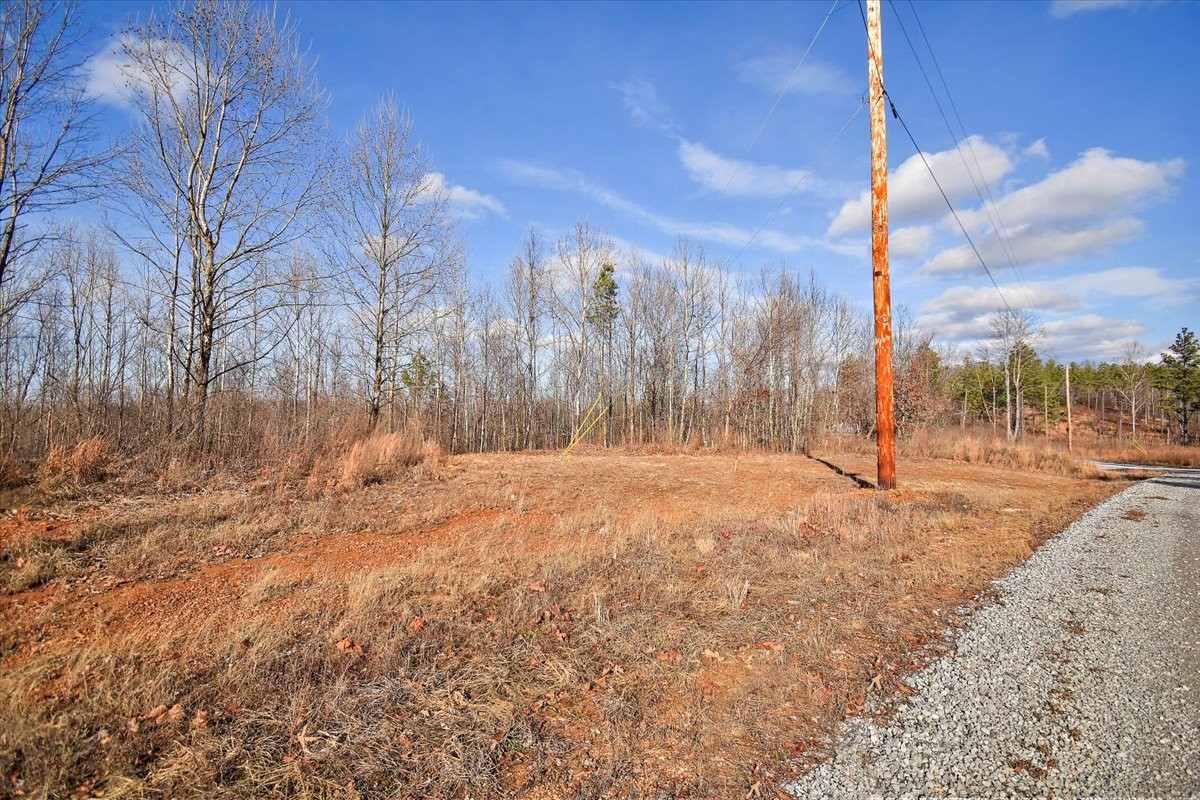98 Saddleback Drive Dover, TN 37058 - Photo 3 of 18 a view of a snow on the road