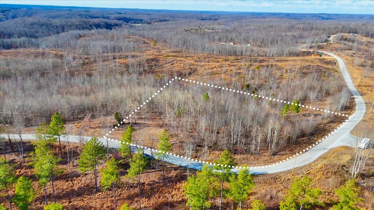 98 Saddleback Drive Dover, TN 37058 - Photo 6 of 18 a view of lake