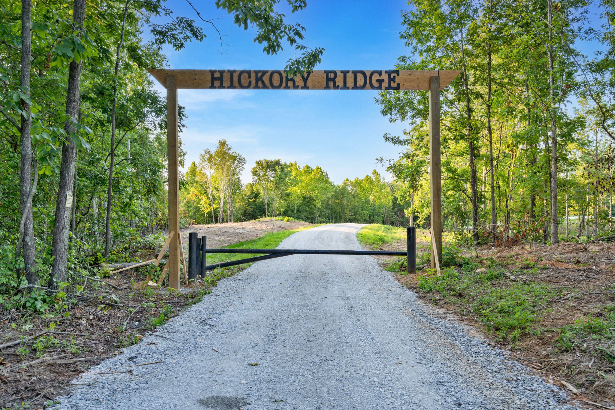 98 Saddleback Drive Dover, TN 37058 - Photo 8 of 18 a view of a park with large trees
