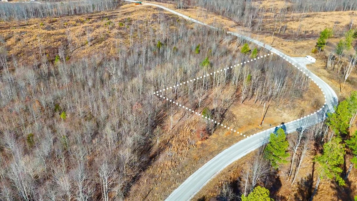 98 Saddleback Drive Dover, TN 37058 - Photo 9 of 18 a view of a yard