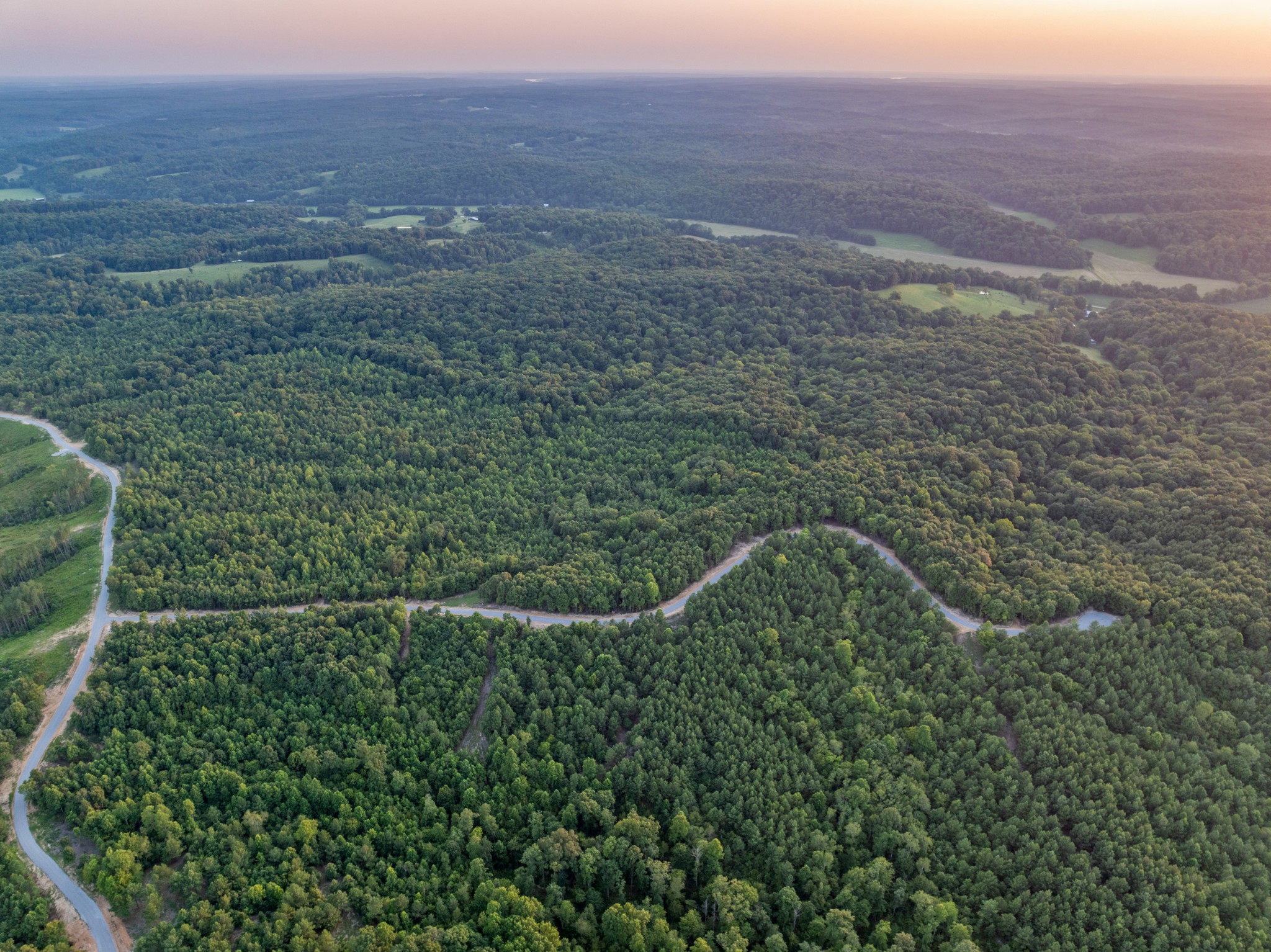 98 Saddleback Drive Dover, TN 37058 - Photo 10 of 18 a view of a dry yard with large trees
