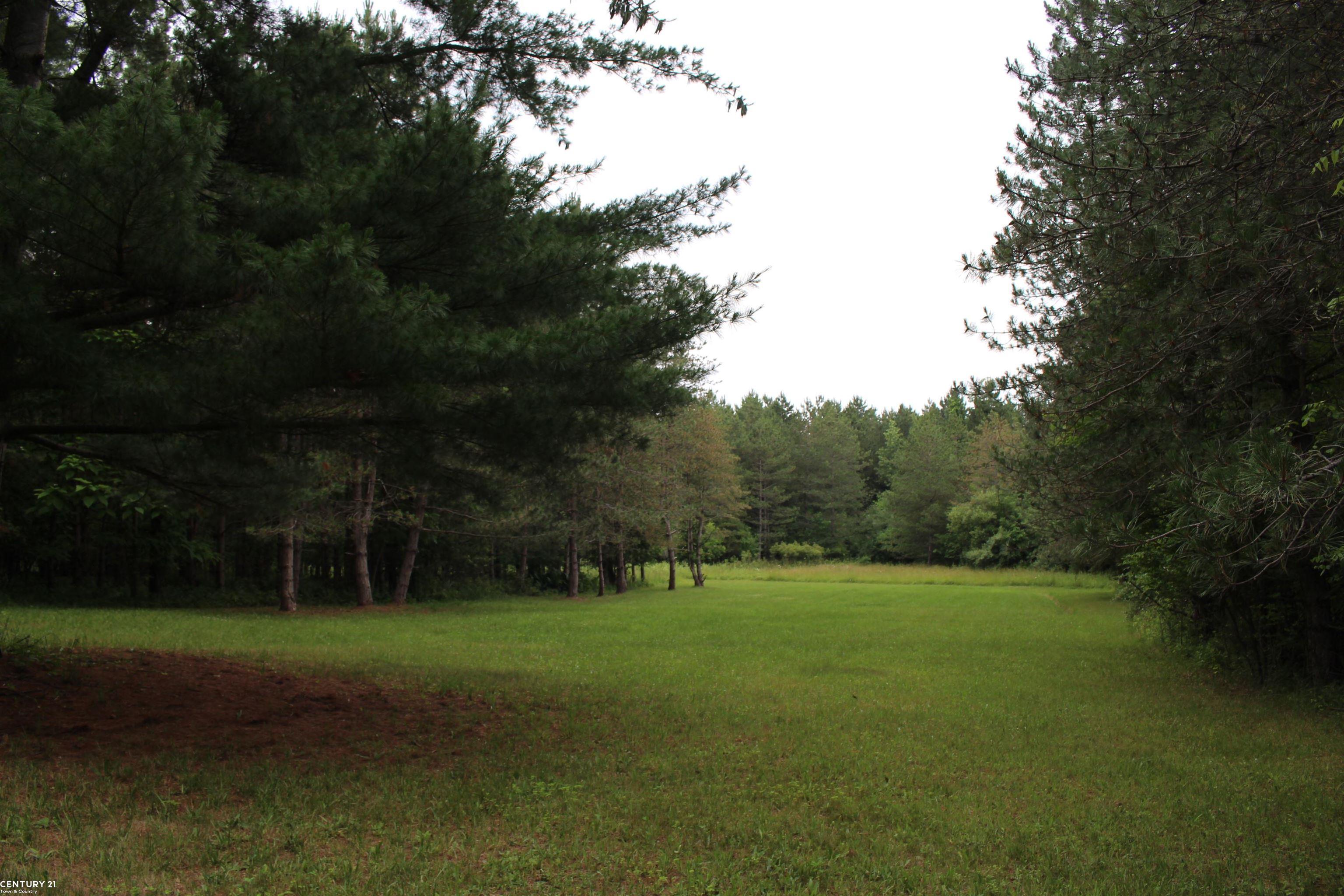 10190 Jeddo Road Avoca, MI 48006 - Photo 26 of 68