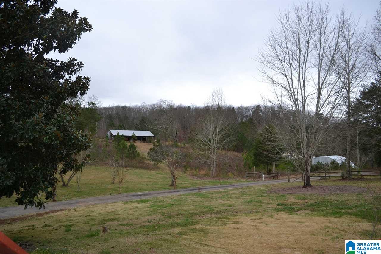 3992 Red Valley Road Remlap, AL 35133 - Photo 38 of 43