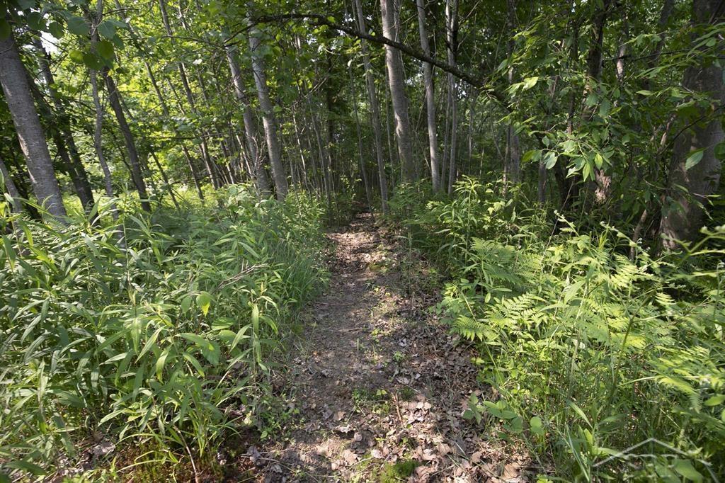 66-acres North Geneva Road Coleman, MI 48618 - Photo 18 of 44 50112001-17.JPG