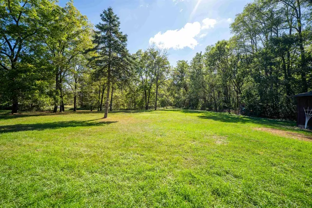 a view of a lake in middle of forest