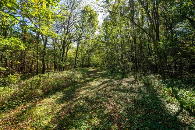 a view of a lake with houses in the back