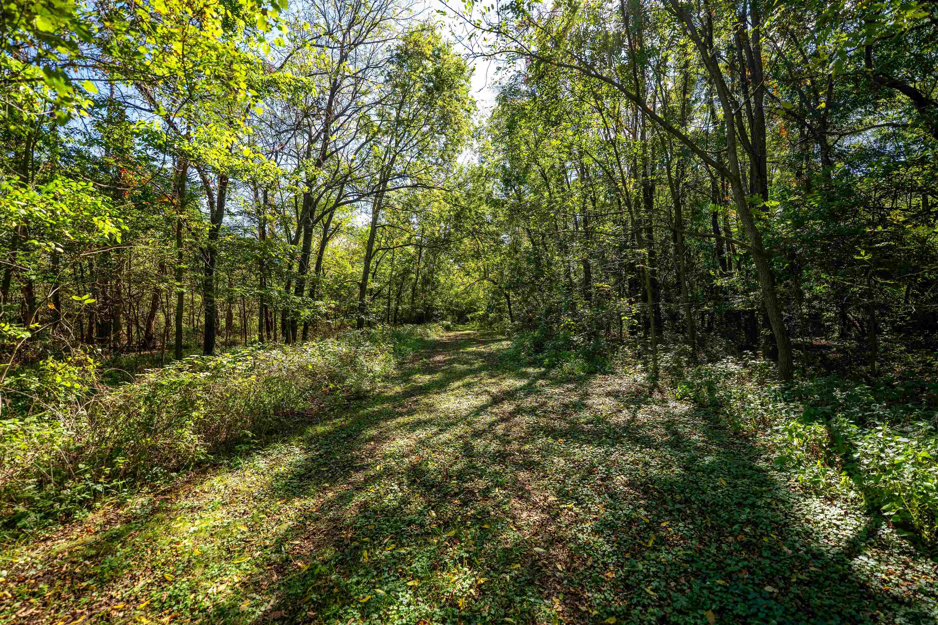 15361 South Bluff Road South Beloit, IL 61080 - Photo 45 of 64 a view of outdoor space and trees
