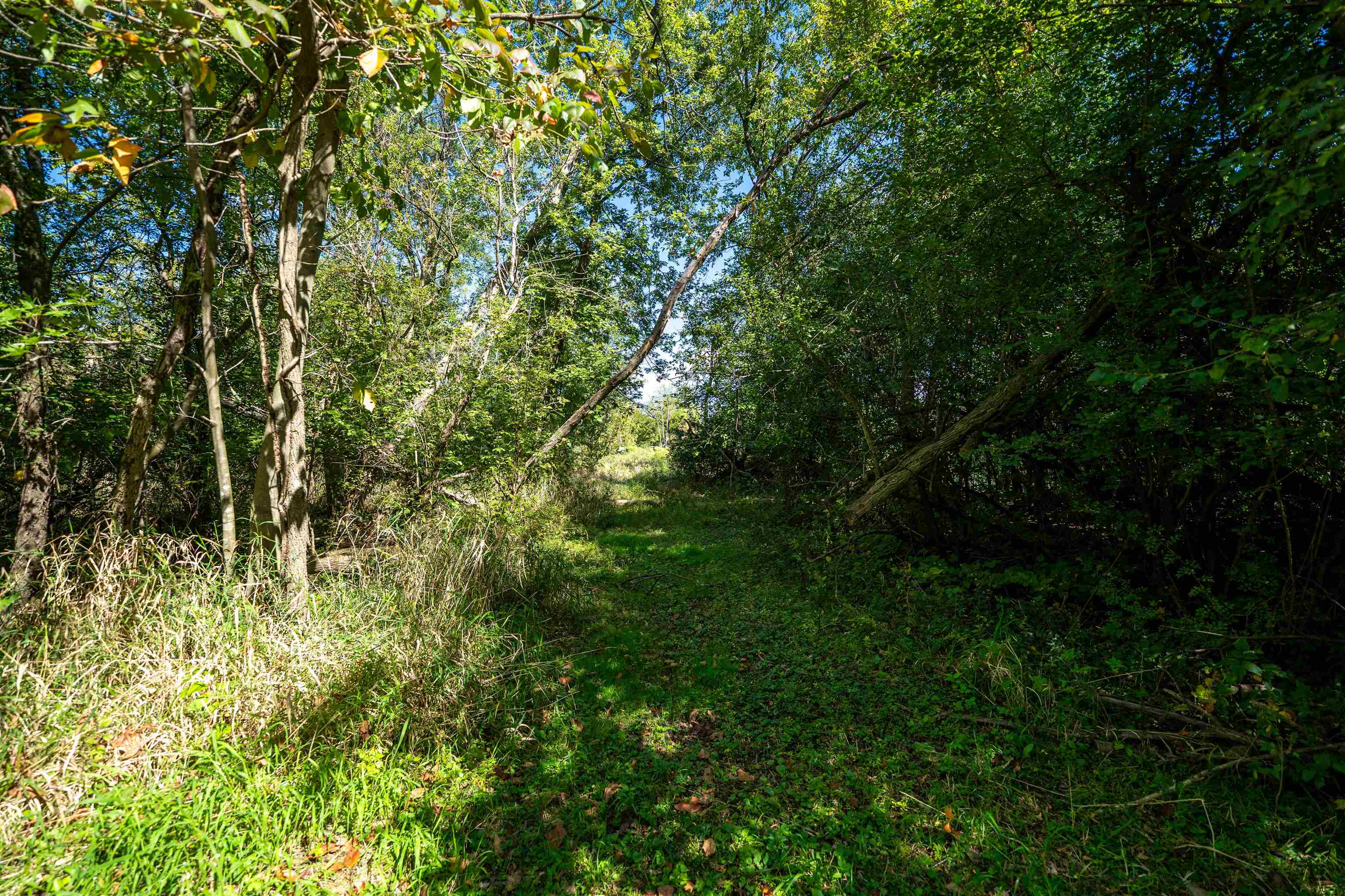 15361 South Bluff Road South Beloit, IL 61080 - Photo 47 of 64 a view of a lush green space