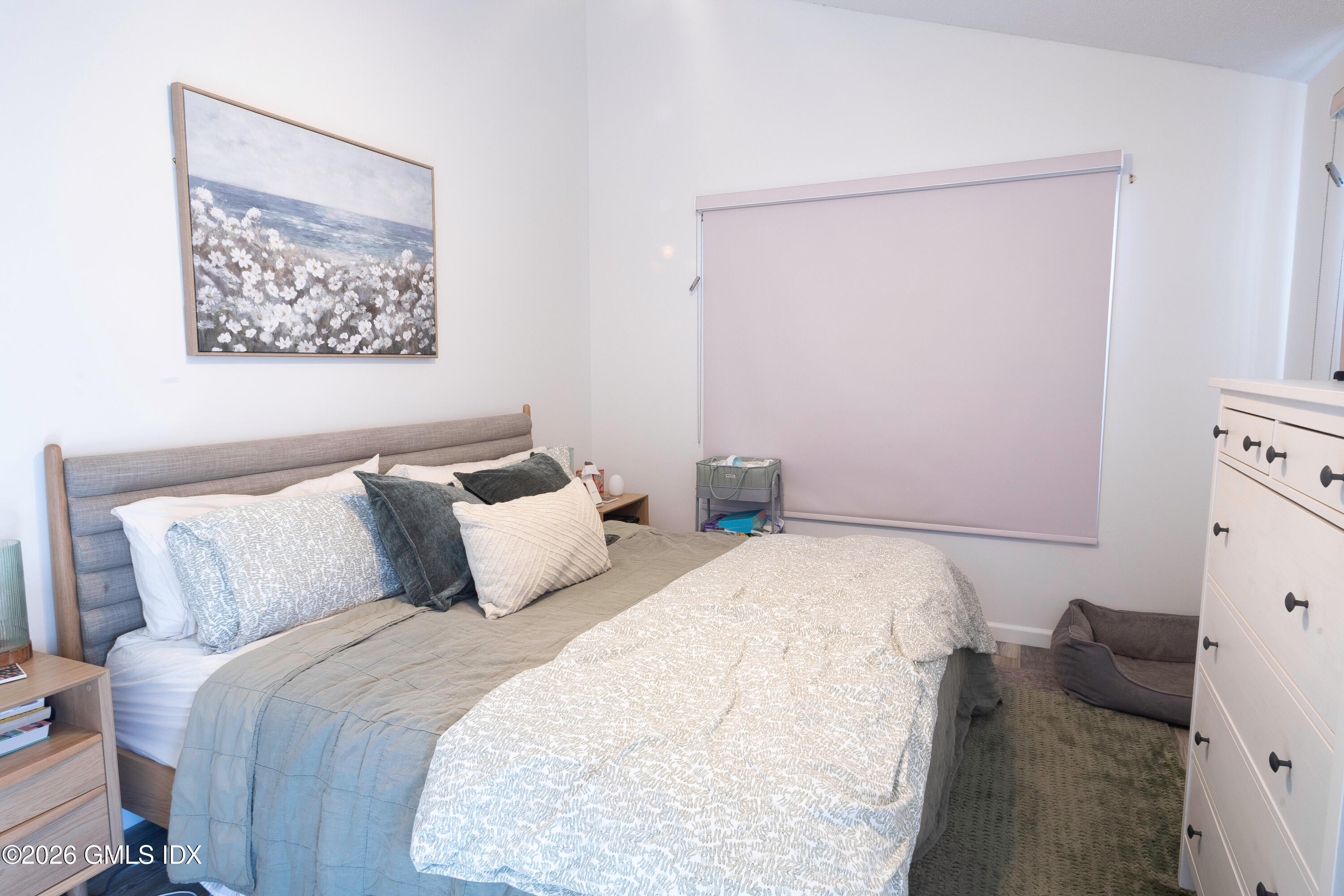 150 Prospect Street, Unit 7 Greenwich, CT 06830 - Photo 22 of 24 IMG_4232